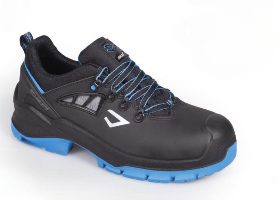 Chaussure DOLPHIN