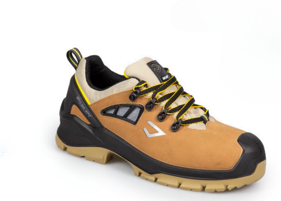 Chaussure JAGUAR