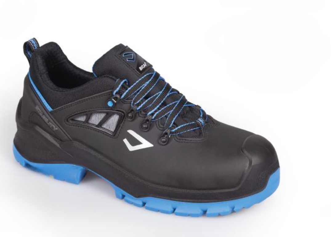 Chaussure Dolphin